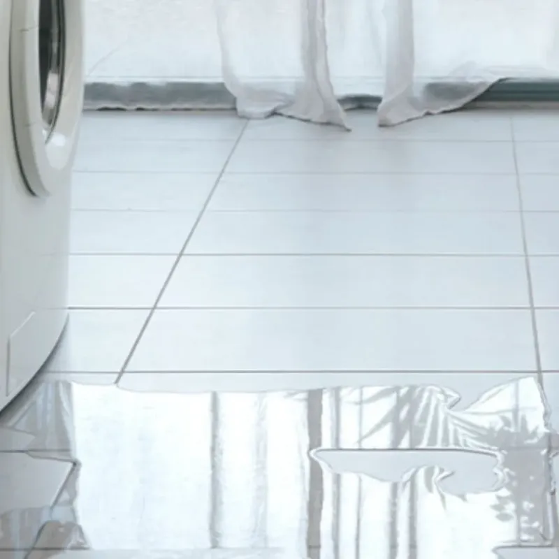 Appliance Leak Cleanup in LaGrange, GA